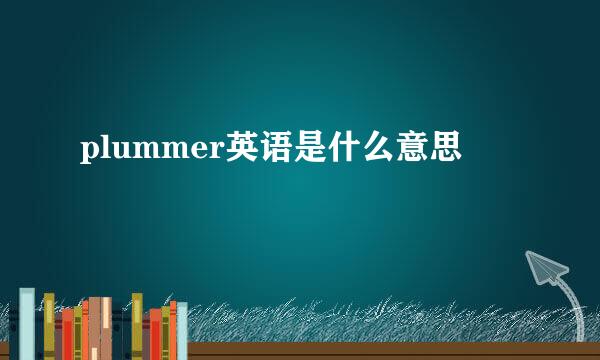 plummer英语是什么意思