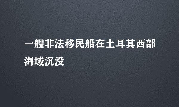 一艘非法移民船在土耳其西部海域沉没