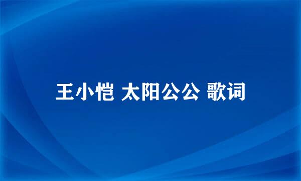 王小恺 太阳公公 歌词