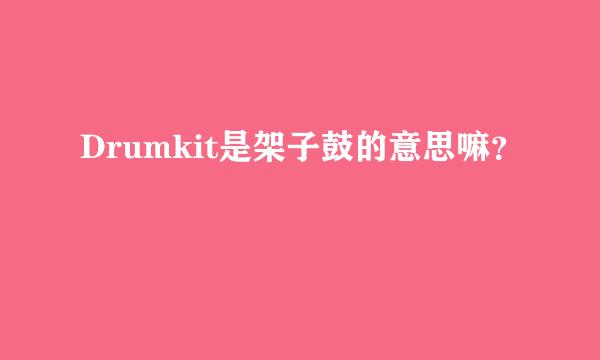 Drumkit是架子鼓的意思嘛？