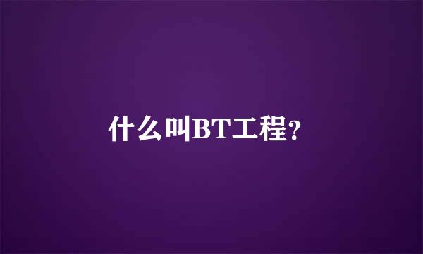 什么叫BT工程？