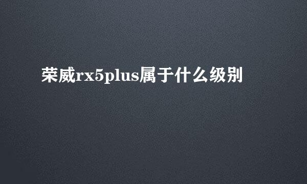 荣威rx5plus属于什么级别