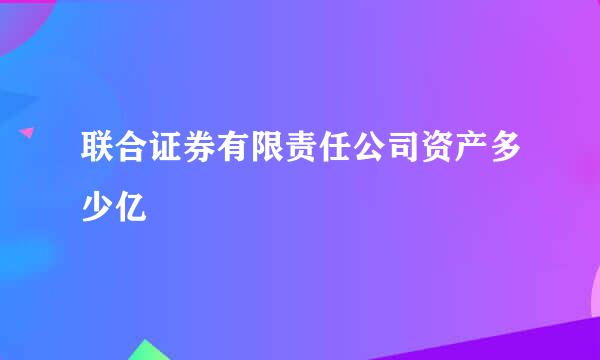 联合证券有限责任公司资产多少亿