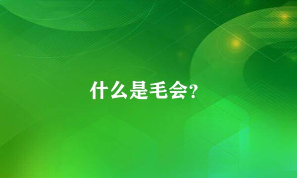 什么是毛会？