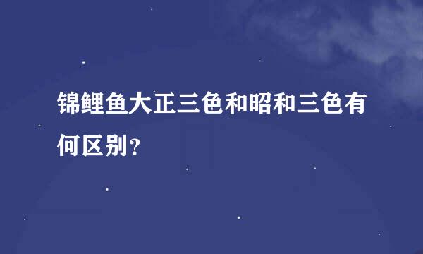 锦鲤鱼大正三色和昭和三色有何区别？