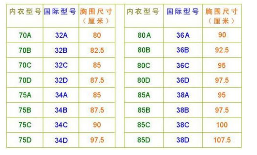 c70胸围是多大?