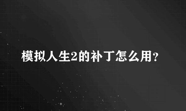 模拟人生2的补丁怎么用？