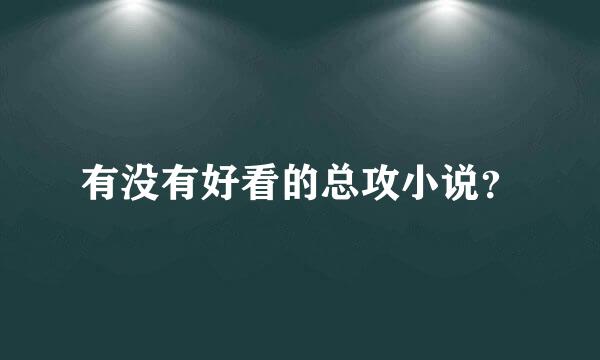 有没有好看的总攻小说？