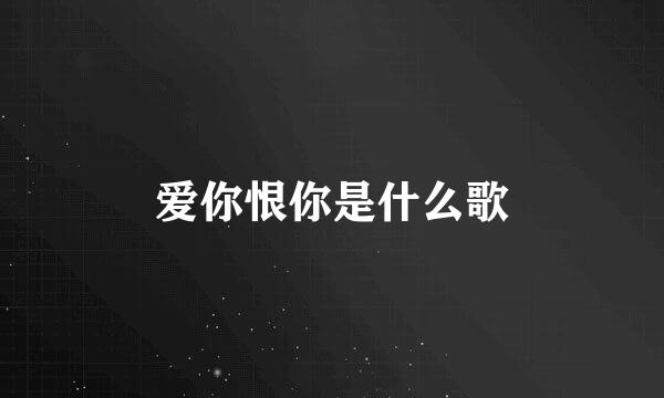 爱你恨你是什么歌