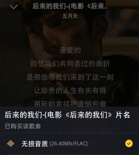 后来的我们音乐百度云资源有吗？