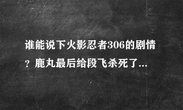 谁能说下火影忍者306的剧情？鹿丸最后给段飞杀死了嘛？卡卡西跟角都怎么样了？