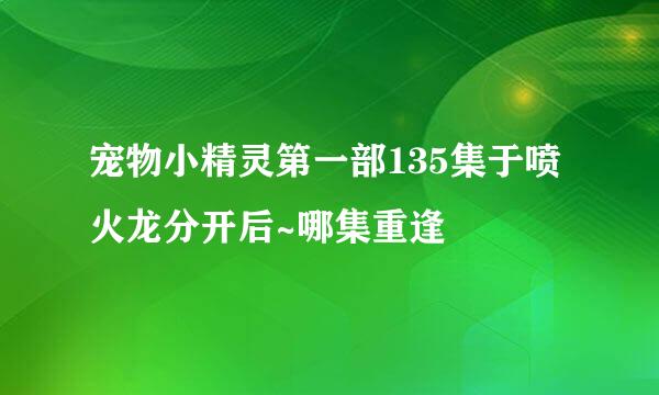 宠物小精灵第一部135集于喷火龙分开后~哪集重逢