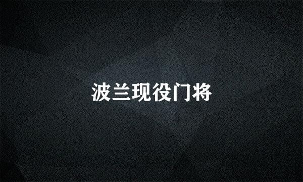 波兰现役门将