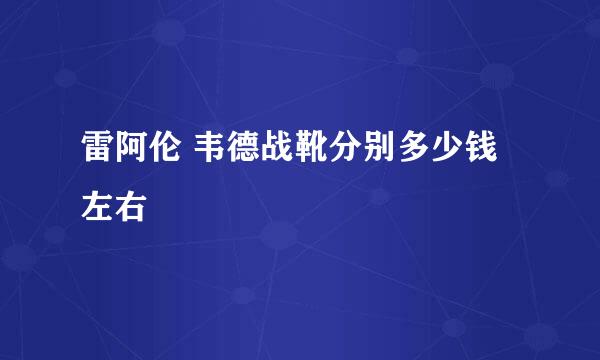 雷阿伦 韦德战靴分别多少钱左右