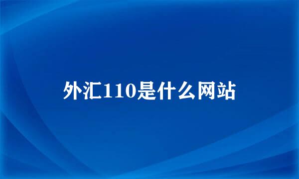 外汇110是什么网站