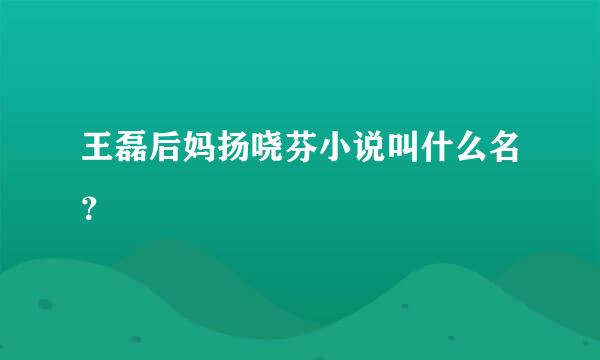 王磊后妈扬哓芬小说叫什么名？