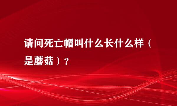 请问死亡帽叫什么长什么样（是蘑菇）？