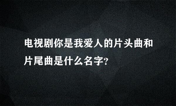 电视剧你是我爱人的片头曲和片尾曲是什么名字？