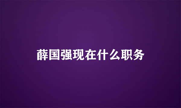 薛国强现在什么职务