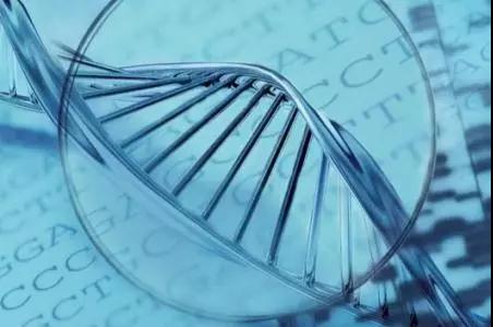 DNA测序的测序原理是什么？