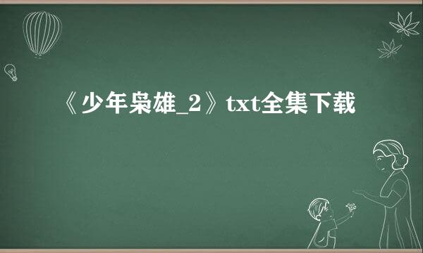 《少年枭雄_2》txt全集下载