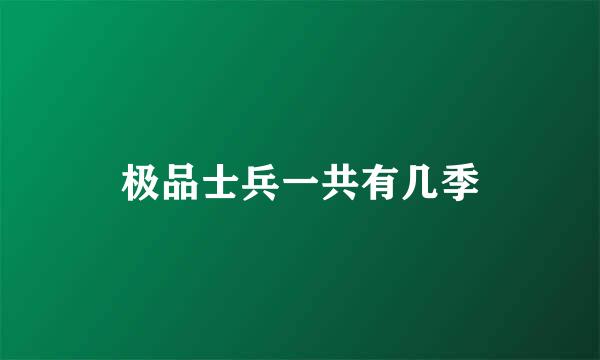 极品士兵一共有几季