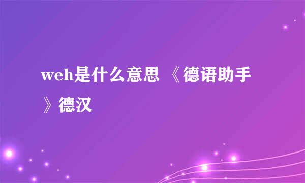 weh是什么意思 《德语助手》德汉