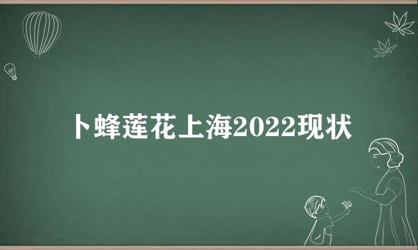 卜蜂莲花上海2022现状