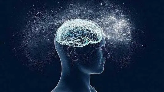 人类的大脑开发了多少？