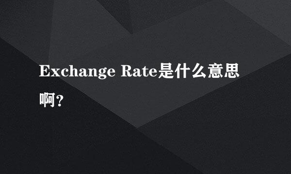 Exchange Rate是什么意思啊？