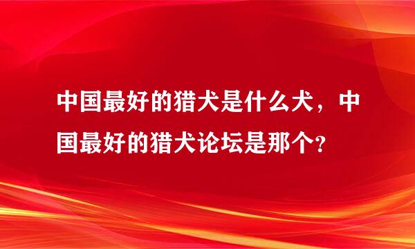 中国最好的猎犬是什么犬，中国最好的猎犬论坛是那个？