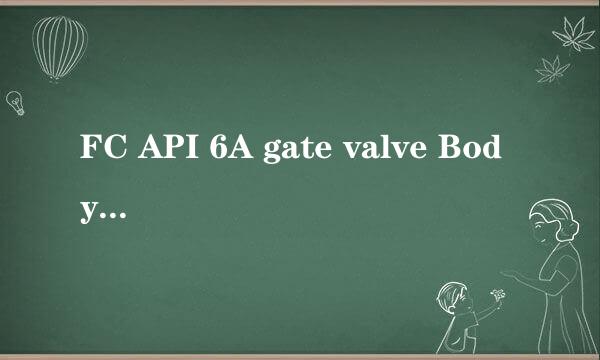 FC API 6A gate valve Body,中文是什么?
