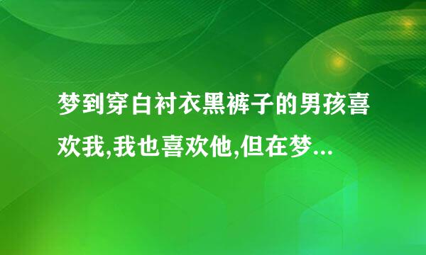 梦到穿白衬衣黑裤子的男孩喜欢我,我也喜欢他,但在梦里，他对我很好，他好像叫安晓俊，