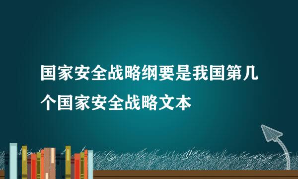 国家安全战略纲要是我国第几个国家安全战略文本