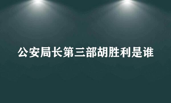 公安局长第三部胡胜利是谁