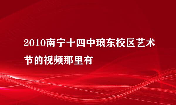 2010南宁十四中琅东校区艺术节的视频那里有