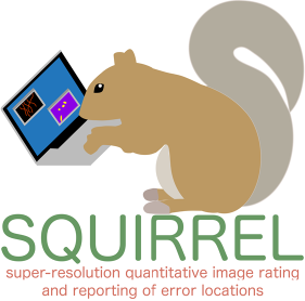 squirrel是什么意思