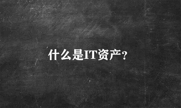 什么是IT资产？