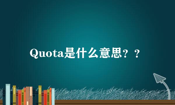 Quota是什么意思？？