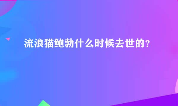 流浪猫鲍勃什么时候去世的？