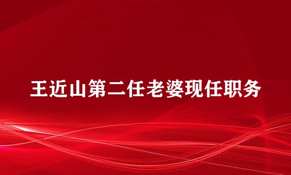 王近山第二任老婆现任职务