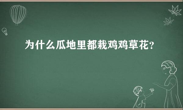 为什么瓜地里都栽鸡鸡草花？