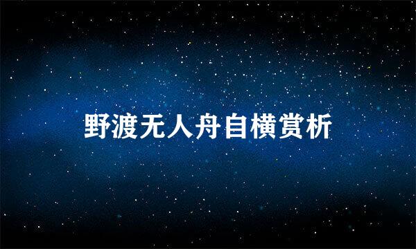 野渡无人舟自横赏析