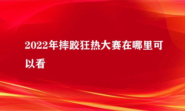 2022年摔跤狂热大赛在哪里可以看