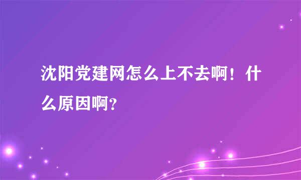 沈阳党建网怎么上不去啊！什么原因啊？