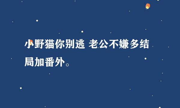 小野猫你别逃 老公不嫌多结局加番外。