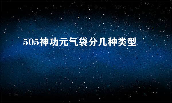 505神功元气袋分几种类型