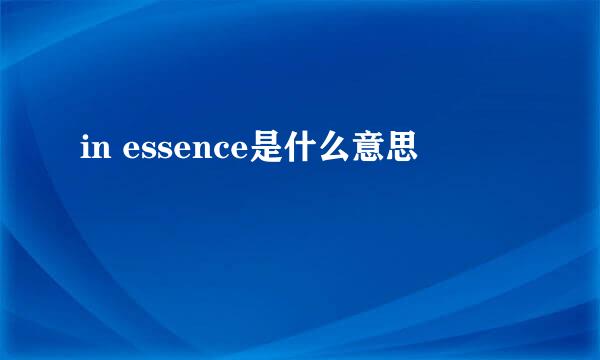 in essence是什么意思