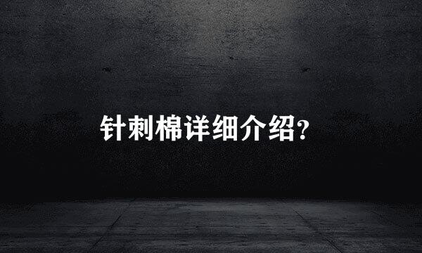 针刺棉详细介绍？