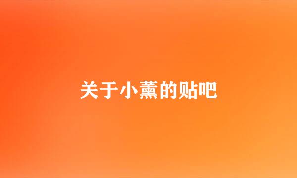 关于小薰的贴吧